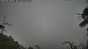 ./images/calvert/fitz-hugh-hecate/20250802/fitz-hugh-hecate20250802_100011M.jpg