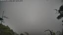 ./images/calvert/fitz-hugh-hecate/20250802/fitz-hugh-hecate20250802_100510M.jpg