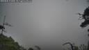 ./images/calvert/fitz-hugh-hecate/20250802/fitz-hugh-hecate20250802_101009M.jpg
