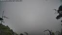 ./images/calvert/fitz-hugh-hecate/20250802/fitz-hugh-hecate20250802_101509M.jpg