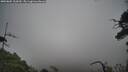 ./images/calvert/fitz-hugh-hecate/20250802/fitz-hugh-hecate20250802_102010M.jpg