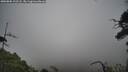./images/calvert/fitz-hugh-hecate/20250802/fitz-hugh-hecate20250802_102507M.jpg