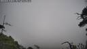 ./images/calvert/fitz-hugh-hecate/20250802/fitz-hugh-hecate20250802_104511M.jpg