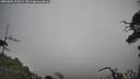 ./images/calvert/fitz-hugh-hecate/20250802/fitz-hugh-hecate20250802_105009M.jpg