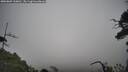 ./images/calvert/fitz-hugh-hecate/20250802/fitz-hugh-hecate20250802_110010M.jpg