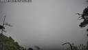 ./images/calvert/fitz-hugh-hecate/20250802/fitz-hugh-hecate20250802_110508M.jpg