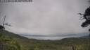 ./images/calvert/fitz-hugh-hecate/20250802/fitz-hugh-hecate20250802_112509M.jpg