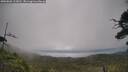./images/calvert/fitz-hugh-hecate/20250802/fitz-hugh-hecate20250802_113011M.jpg