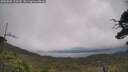 ./images/calvert/fitz-hugh-hecate/20250802/fitz-hugh-hecate20250802_114010M.jpg