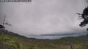 ./images/calvert/fitz-hugh-hecate/20250802/fitz-hugh-hecate20250802_114511M.jpg