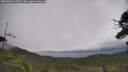./images/calvert/fitz-hugh-hecate/20250802/fitz-hugh-hecate20250802_115510M.jpg
