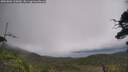 ./images/calvert/fitz-hugh-hecate/20250802/fitz-hugh-hecate20250802_120009M.jpg