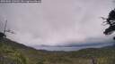./images/calvert/fitz-hugh-hecate/20250802/fitz-hugh-hecate20250802_120510M.jpg