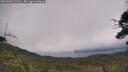 ./images/calvert/fitz-hugh-hecate/20250802/fitz-hugh-hecate20250802_121511M.jpg