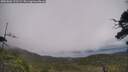./images/calvert/fitz-hugh-hecate/20250802/fitz-hugh-hecate20250802_122509M.jpg