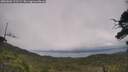 ./images/calvert/fitz-hugh-hecate/20250802/fitz-hugh-hecate20250802_123509M.jpg