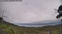 ./images/calvert/fitz-hugh-hecate/20250802/fitz-hugh-hecate20250802_124010M.jpg