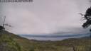 ./images/calvert/fitz-hugh-hecate/20250802/fitz-hugh-hecate20250802_124510M.jpg