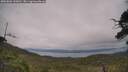 ./images/calvert/fitz-hugh-hecate/20250802/fitz-hugh-hecate20250802_130011M.jpg