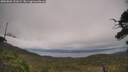 ./images/calvert/fitz-hugh-hecate/20250802/fitz-hugh-hecate20250802_131009M.jpg