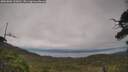 ./images/calvert/fitz-hugh-hecate/20250802/fitz-hugh-hecate20250802_132010M.jpg