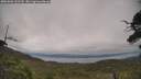 ./images/calvert/fitz-hugh-hecate/20250802/fitz-hugh-hecate20250802_132509M.jpg