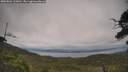 ./images/calvert/fitz-hugh-hecate/20250802/fitz-hugh-hecate20250802_133010M.jpg
