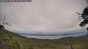 ./images/calvert/fitz-hugh-hecate/20250802/fitz-hugh-hecate20250802_134010M.jpg