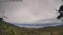 ./images/calvert/fitz-hugh-hecate/20250802/fitz-hugh-hecate20250802_134508M.jpg
