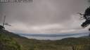 ./images/calvert/fitz-hugh-hecate/20250802/fitz-hugh-hecate20250802_135010M.jpg