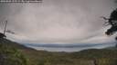./images/calvert/fitz-hugh-hecate/20250802/fitz-hugh-hecate20250802_135508M.jpg