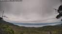 ./images/calvert/fitz-hugh-hecate/20250802/fitz-hugh-hecate20250802_140012M.jpg