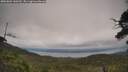 ./images/calvert/fitz-hugh-hecate/20250802/fitz-hugh-hecate20250802_140510M.jpg