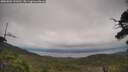 ./images/calvert/fitz-hugh-hecate/20250802/fitz-hugh-hecate20250802_141010M.jpg