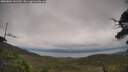 ./images/calvert/fitz-hugh-hecate/20250802/fitz-hugh-hecate20250802_141509M.jpg