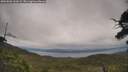 ./images/calvert/fitz-hugh-hecate/20250802/fitz-hugh-hecate20250802_142009M.jpg