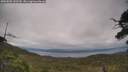 ./images/calvert/fitz-hugh-hecate/20250802/fitz-hugh-hecate20250802_142510M.jpg