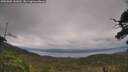 ./images/calvert/fitz-hugh-hecate/20250802/fitz-hugh-hecate20250802_143012M.jpg