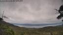 ./images/calvert/fitz-hugh-hecate/20250802/fitz-hugh-hecate20250802_143509M.jpg