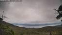 ./images/calvert/fitz-hugh-hecate/20250802/fitz-hugh-hecate20250802_144511M.jpg