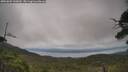 ./images/calvert/fitz-hugh-hecate/20250802/fitz-hugh-hecate20250802_145010M.jpg