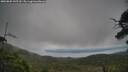 ./images/calvert/fitz-hugh-hecate/20250802/fitz-hugh-hecate20250802_145510M.jpg