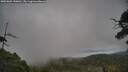 ./images/calvert/fitz-hugh-hecate/20250802/fitz-hugh-hecate20250802_150010M.jpg