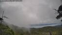 ./images/calvert/fitz-hugh-hecate/20250802/fitz-hugh-hecate20250802_151010M.jpg