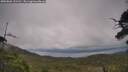 ./images/calvert/fitz-hugh-hecate/20250802/fitz-hugh-hecate20250802_151511M.jpg