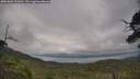 ./images/calvert/fitz-hugh-hecate/20250802/fitz-hugh-hecate20250802_152010M.jpg