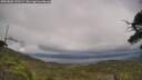 ./images/calvert/fitz-hugh-hecate/20250802/fitz-hugh-hecate20250802_152509M.jpg