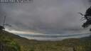 ./images/calvert/fitz-hugh-hecate/20250802/fitz-hugh-hecate20250802_154010M.jpg
