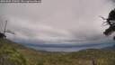 ./images/calvert/fitz-hugh-hecate/20250802/fitz-hugh-hecate20250802_155010M.jpg