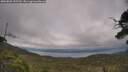 ./images/calvert/fitz-hugh-hecate/20250802/fitz-hugh-hecate20250802_155509M.jpg